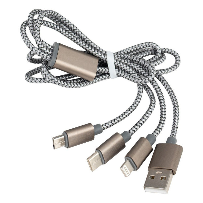 Cargador Con Multiples Terminales